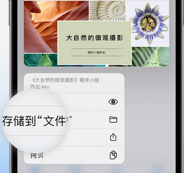 丹东apple维修中心分享iPhone文件应用中存储和找到下载文件