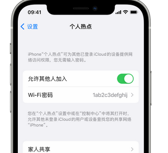 丹东apple服务站点分享iPhone上个人热点丢失了怎么办 