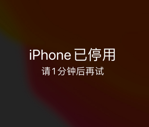 丹东苹果手机维修分享:iPhone 显示“不可用”或“已停用”怎么办？还能保留数据吗？ 