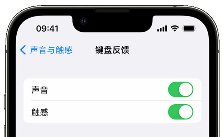 丹东苹果手机维修分享iPhone 14触感键盘使用方法 