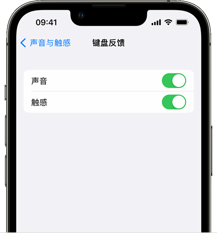 丹东苹果14维修店分享如何在 iPhone 14 机型中使用触感键盘 