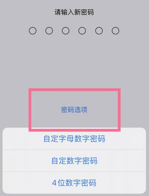 丹东苹果14维修分享iPhone 14plus设置密码的方法 