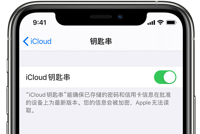 丹东苹果手机维修分享在 iPhone 上开启 iCloud 钥匙串之后会储存哪些信息 