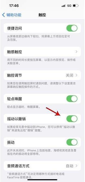 丹东苹果手机维修分享iPhone手机如何设置摇一摇删除文字 